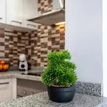 Apartamento Oasis San Eugenio By Altamar Homes Costa Adeje (Tenerife)