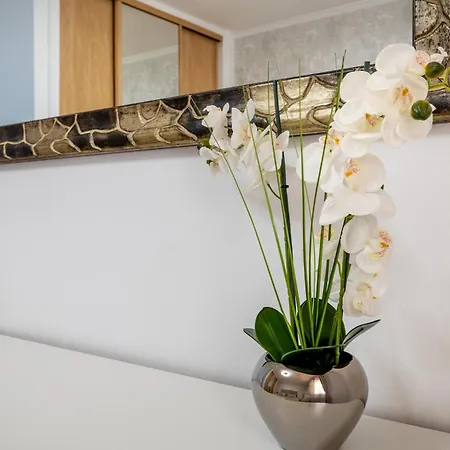 아파트 Oasis San Eugenio By Altamar Homes *