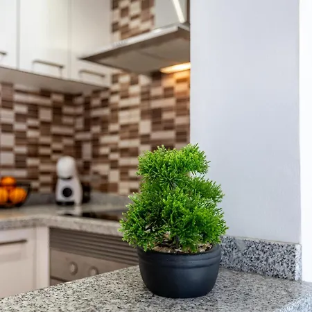 아파트 Oasis San Eugenio By Altamar Homes 아데제